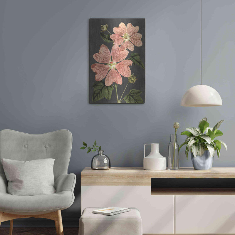"Anémone rose" par lettré et doublé
