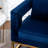 Upholstered Accent Arm Chair-459270019-459270022