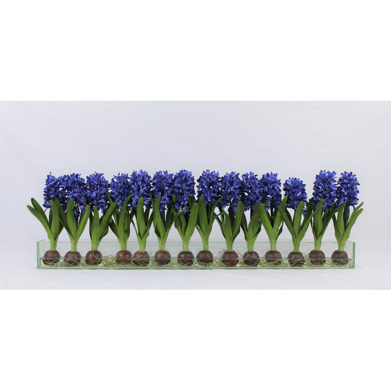 Orchids Centerpiece in Glass Planter, Blue, 16" H x 48" W x 4" D