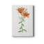 «Orange Bulbous Lily», impression sur toile tendue-319216096