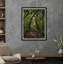 Rainforrest Print by Tim Klein