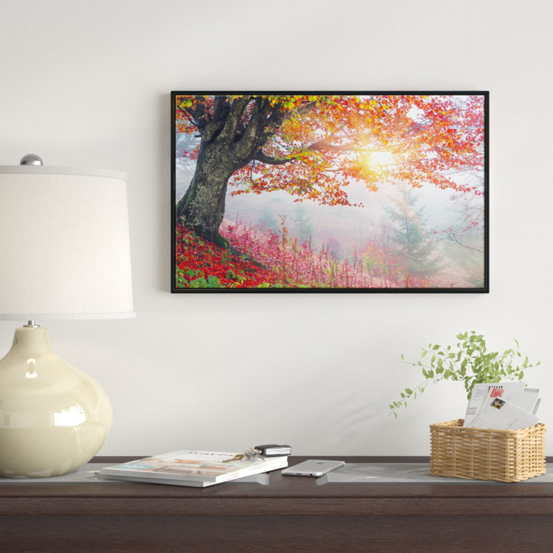 « matinée dans misty red forest », reproduction de photo sur toile tendue encadrée, H 14 po x l 22 po x P 1 po