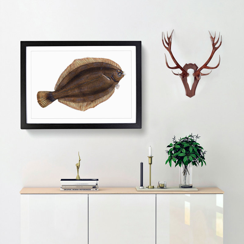 Turbot Fish by Edward Donovan - Framed Print, 27cm H x 36cm W x 2cm D, Black Framed