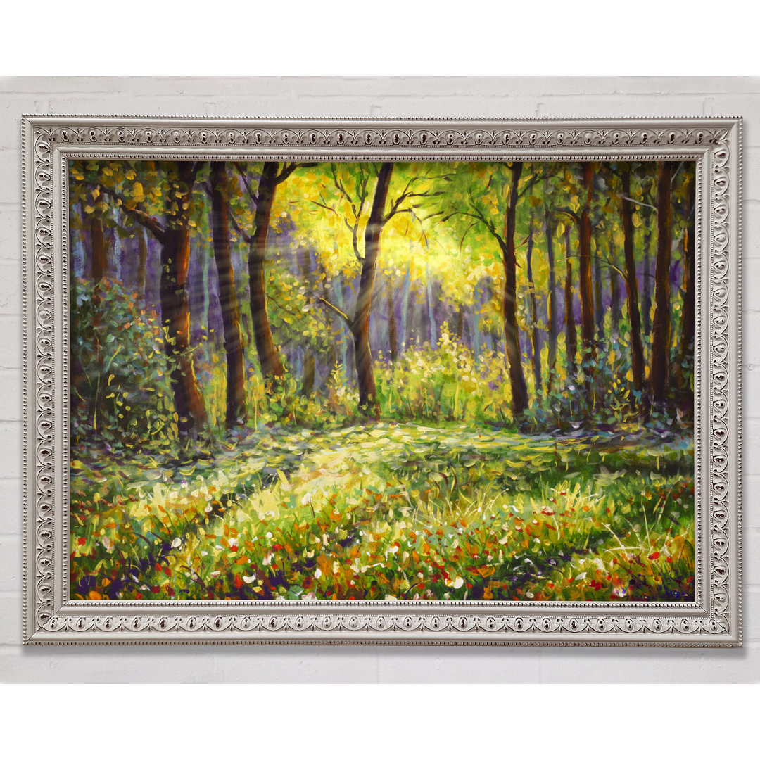 Sunshine Through The Woodlands - Einzelne Bilderrahmen Kunstdrucke