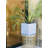 Planter-233710366-169871259