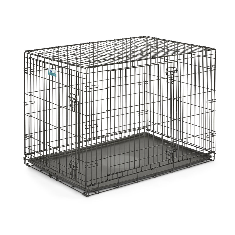 Cage pour animaux de compagnie à double porte MidWest Homes for Pets, Très grand (H 32 po x l 31 po x P 49 po)