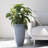 Nova 12'' W Round Planter with Tray-1863629242-1766157623-1766157621