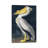 Pelican-818193669-818193673