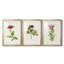 «Pretty Pink Botanicals II», reproduction sur mesure encadrée de qualité supérieure - 3 pièces-2145477661-2145477664