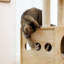 Meuble chat moderne de luxe pour chat