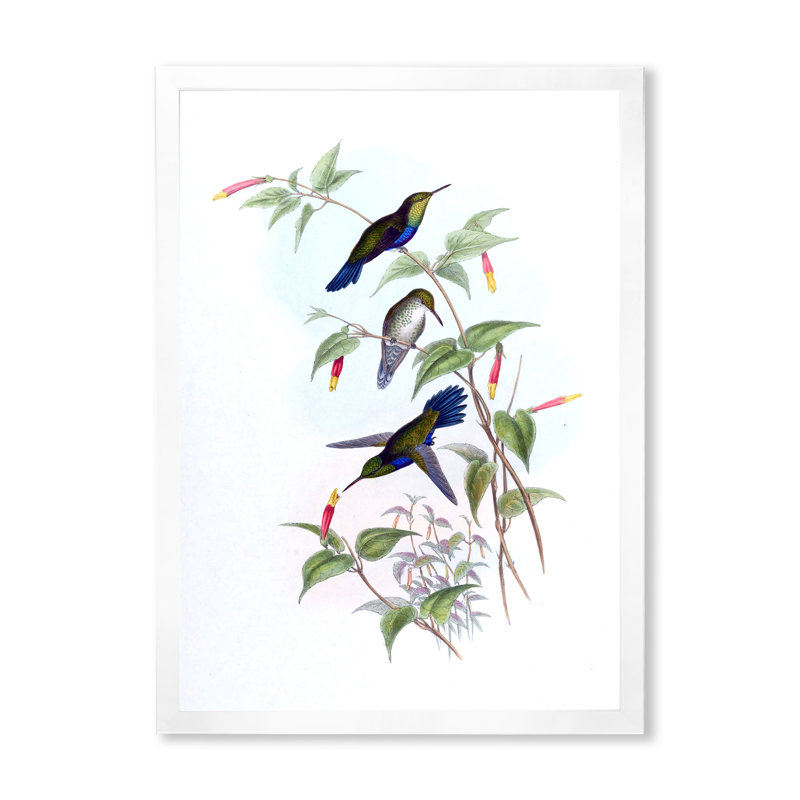 Colibri rétro I - peinture sur toile, Cadre photo blanc, H 32 po x l 24 po x P 1 po