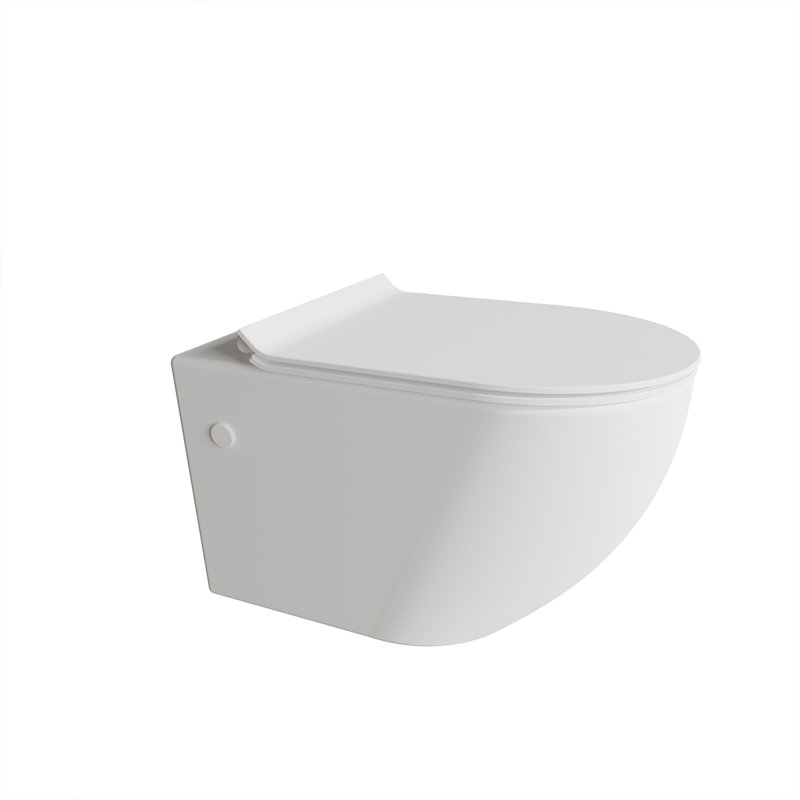 Aric Wall-Hung Fully Skirted Elongated Toilet With Hidden Flush Tank