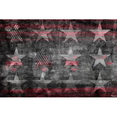 " Star Flag " by Parvez Taj