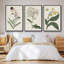 Ensemble de 3 pièces encadrées sur toile Antique Botanical Collection VII-97760032-97760035