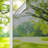 One Way Privacy with Heat Control Non-Wall Damaging Window Decal-50946274-50946270