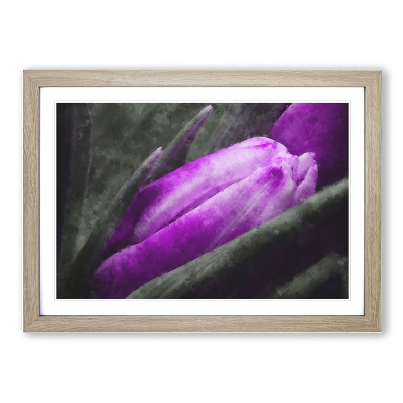 Purple Tulip Flowers Vol.2 - Framed Print, 27cm H x 36cm W x 2cm D, Oak Framed