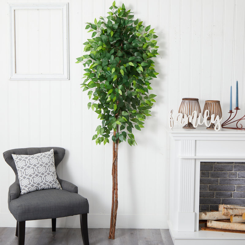 Waller 84'' Faux Ficus Tree
