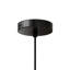1 - Light Matte Black Chandelier Pendant