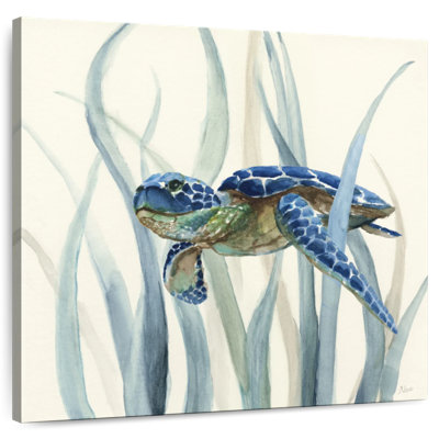 Tortue Brampt en ruppie maritime II