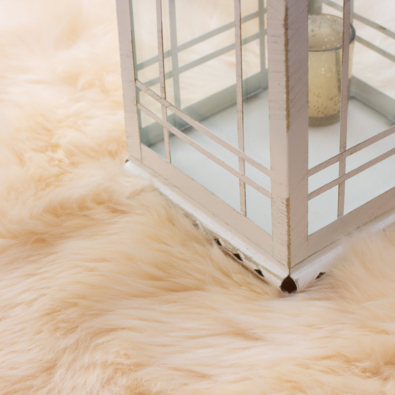 Fraley Sheepskin Indoor Rug, Novelty 2' x 3'