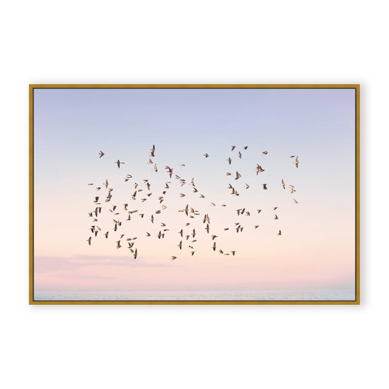 Nature Inspired Sunset Flight by  - Picture Frame Photograph on Paper, 16" H x 24" W x 2.375" D, Framed Canvas, White
