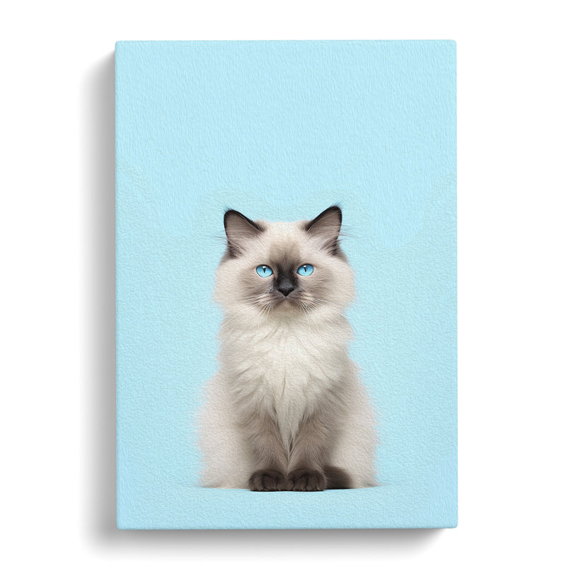 Ragdoll Cat Minimalism - Wrapped Canvas