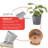 Ecopots Venice Indoor/Outdoor Modern Recycled Plastic Flower Pot Planter W/ Water Reservoir-1913109331-1913109335