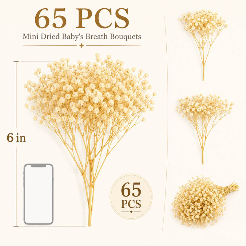 Plus de 3 000 mini gypsophiles ivoire séchées, lot de 65 fleurs pour bouquets artisanaux