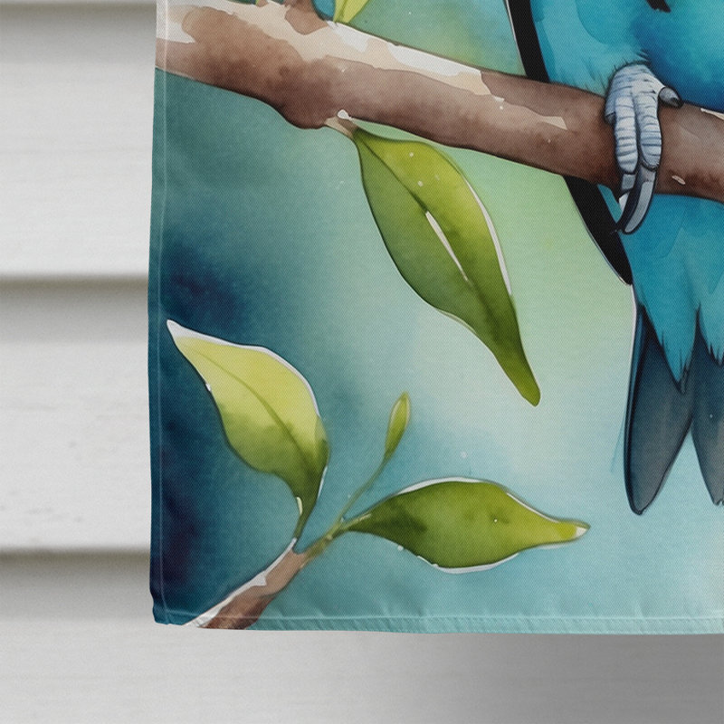 House Flag, Budgerigar