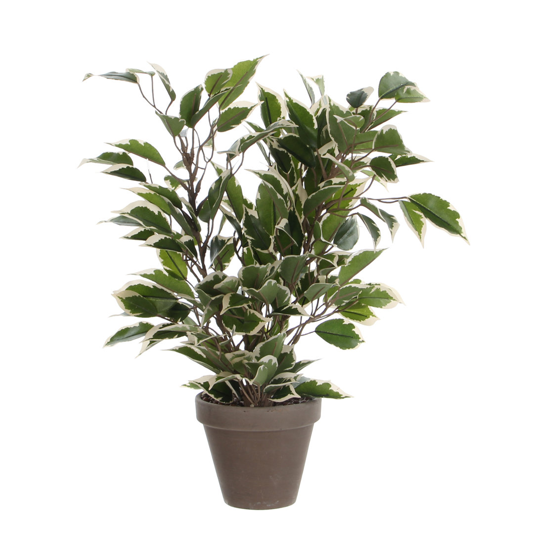 Boden Kunstpflanze Ficus Natasja in Topf Variegated