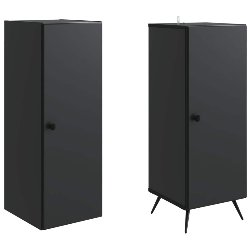 2 -Door 4 Storage Cabinet, Black