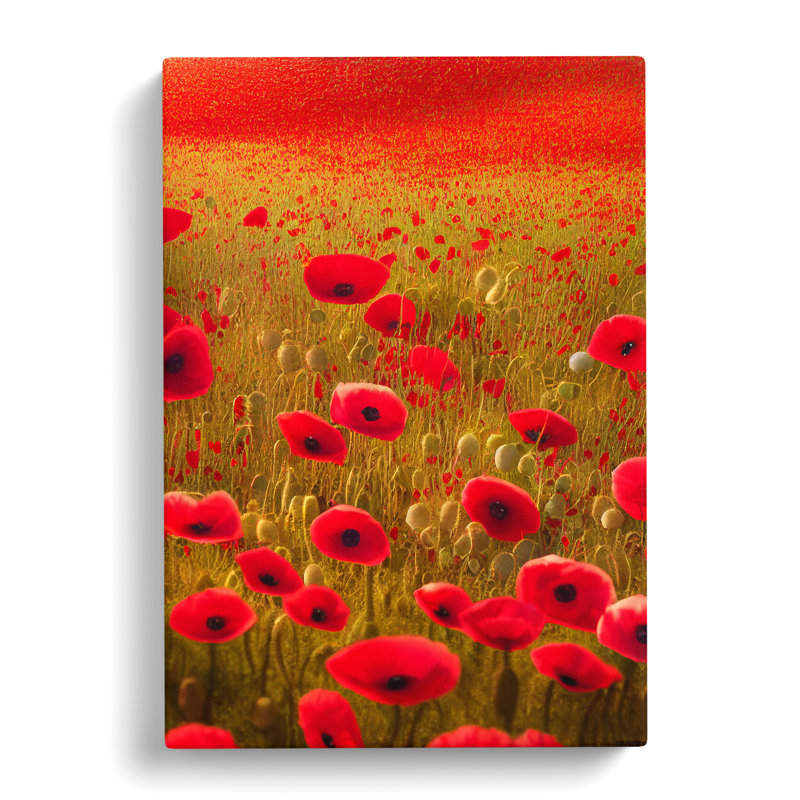 Kerlin Poppy Field Dreams - Wrapped Canvas, 50cm H x 35cm W x 3cm D