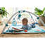 The Ocean Baby Gym