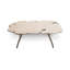 Lava Coffee Table