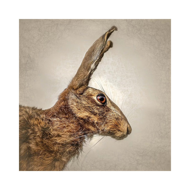 Hare by Mark Gemmell - Wrapped Canvas Print, 66.04 cm H x 66.04 cm W x 1.91 cm D