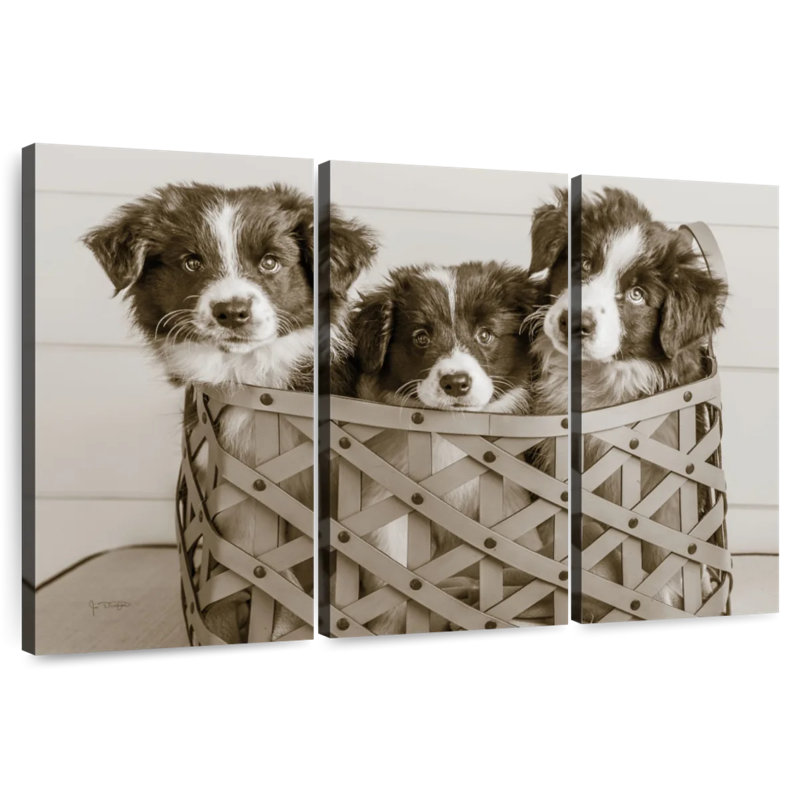 Brampt What A Cute Bundle, 36" H x 57" W