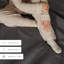 Ensemble de couvre-lit en microfibre moderne & contemporain Antora-2036633566-2036633565