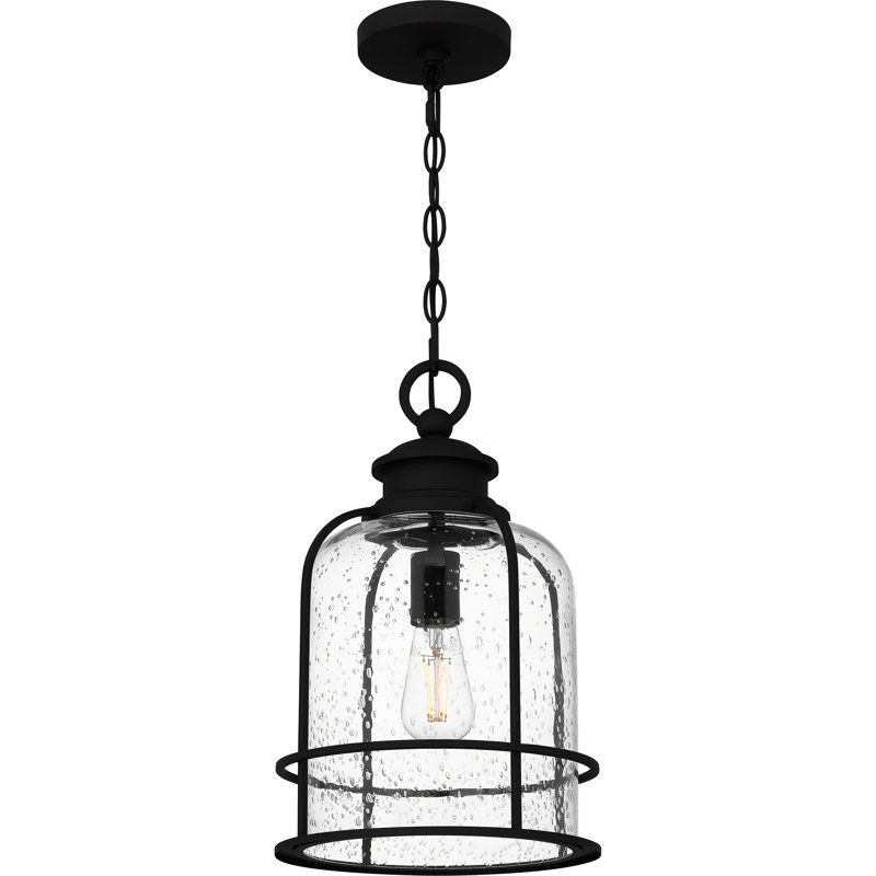 Abrum 1-Light Earth Black Outdoor Hanging Lantern