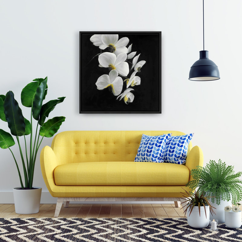 "Beautiful Orchids"