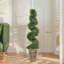 120cm Plant