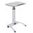 42.5'' Speaker Stand with Adjustable Height