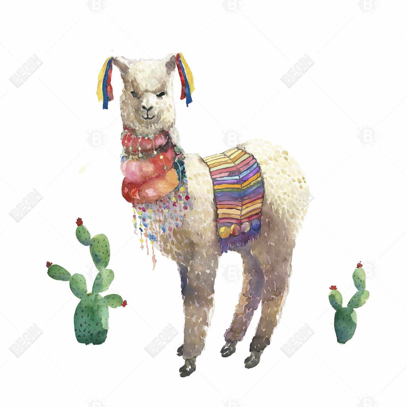 «Lama Parade», H 24 po x l 24 po