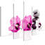Ensemble de 5 impressions sur toile tendue-796777607-796777606