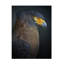 Art sur toile bolologique Fahmi Bhs-109321251