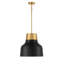 Nickel 1 lumière Meridian en noir mat avec laiton naturel-585973072