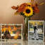 Duchess Metal Picture Frame-244658947-251297963