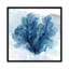 Coastal Coral II by Carol Robinson - Painting on Canvas-2140648342-2140648345