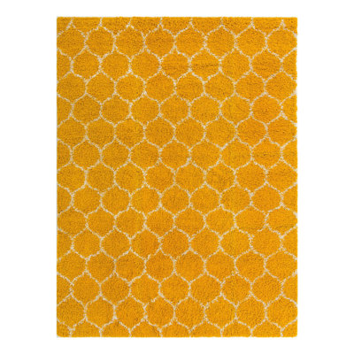 Geometric Indoor Rug