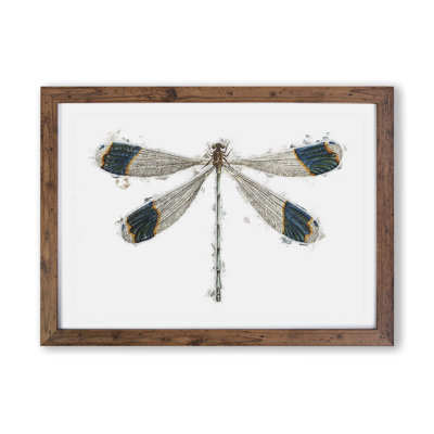 Blue-Tipped Dragonfly - Single Picture Frame Painting