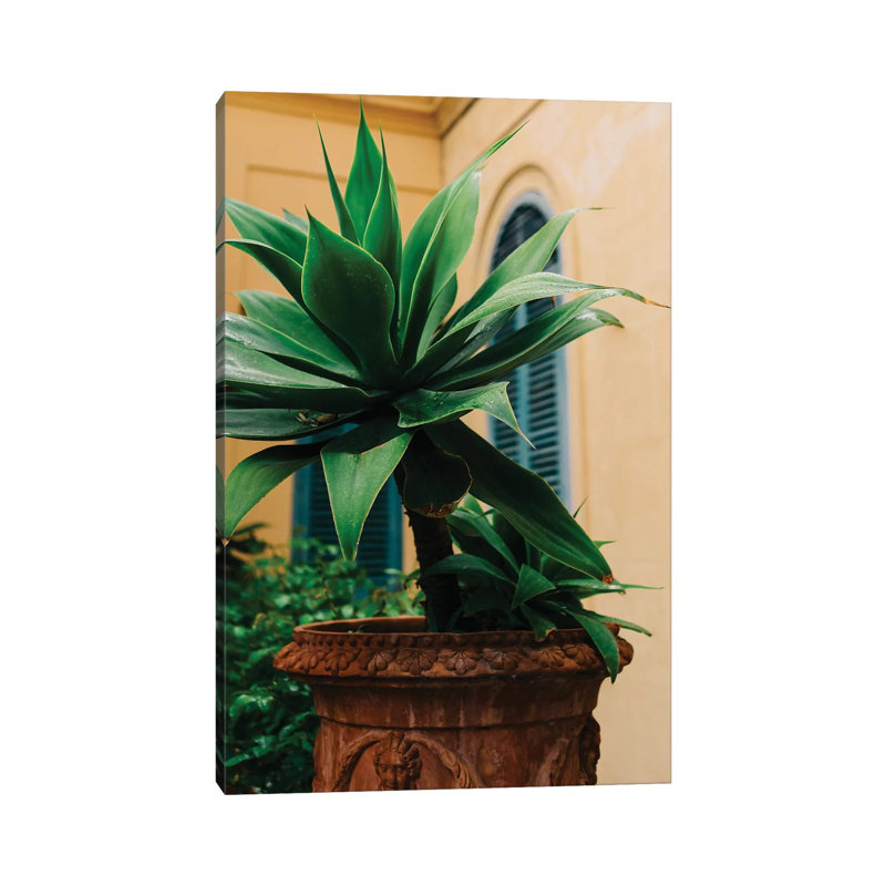 Rainy Positano IX by Bethany Young - Print on Canvas, Wrapped Canvas, 66.04cm H x 45.72cm W x 3.81cm D